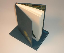 Flatback Journal